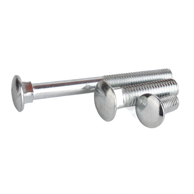 304 316 Stainless Steel Round Head Oval Long Neck Metric M4 A307 Carriage Bolt DIN603 350 mm Coach Bolt